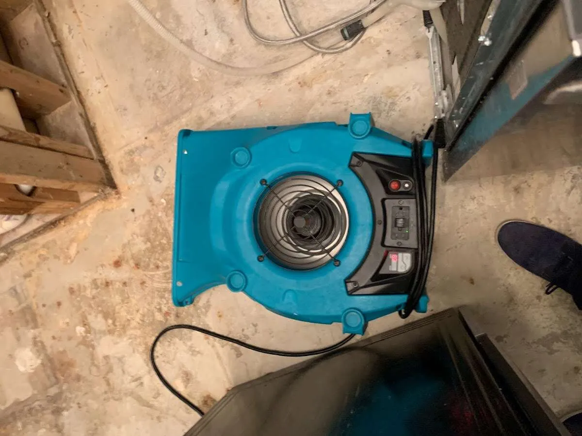 Air mover drying equipment for Mold Remediation & Removal in Haiku-Pauwela